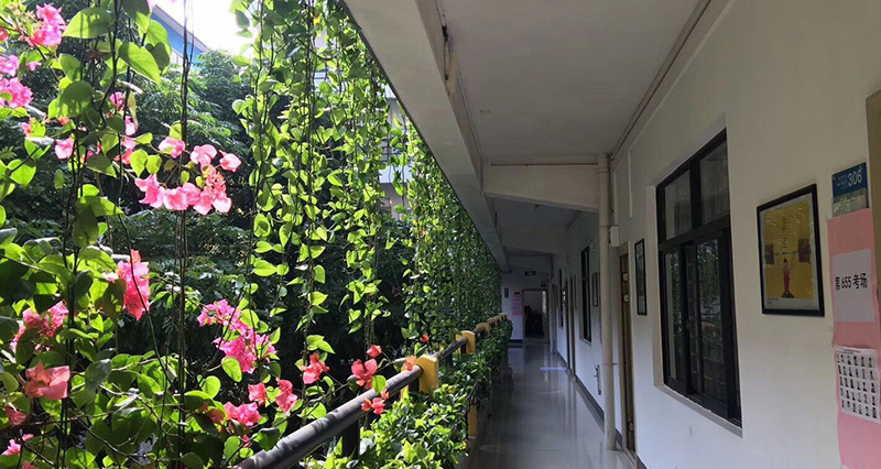 留学生教育